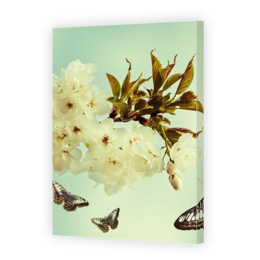 Thumbnail for Canvas - Gallery Canvas Wrap