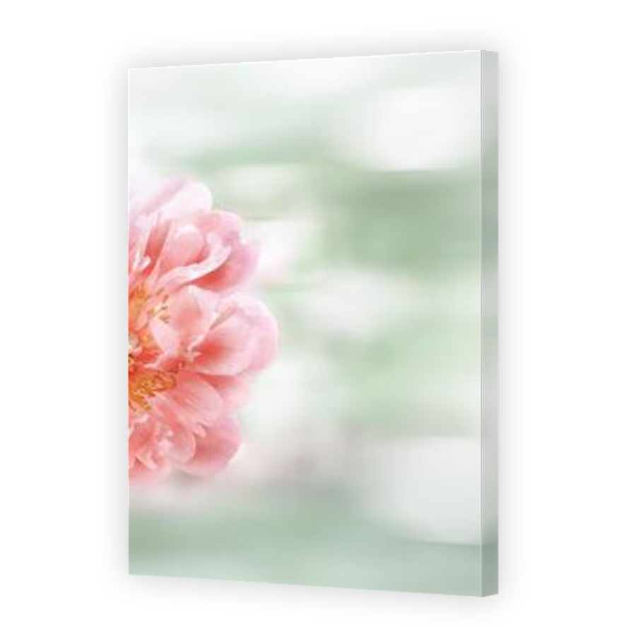 Thumbnail for Canvas - Gallery Canvas Wrap