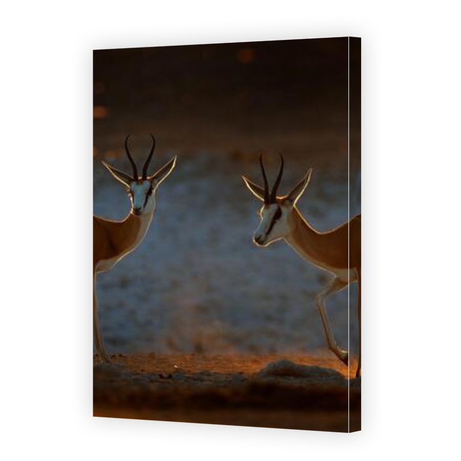 Thumbnail for Canvas - Gallery Canvas Wrap