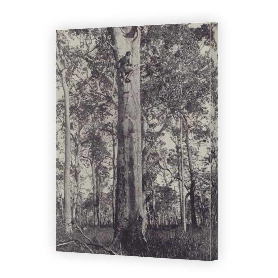Thumbnail for Canvas - Gallery Canvas Wrap