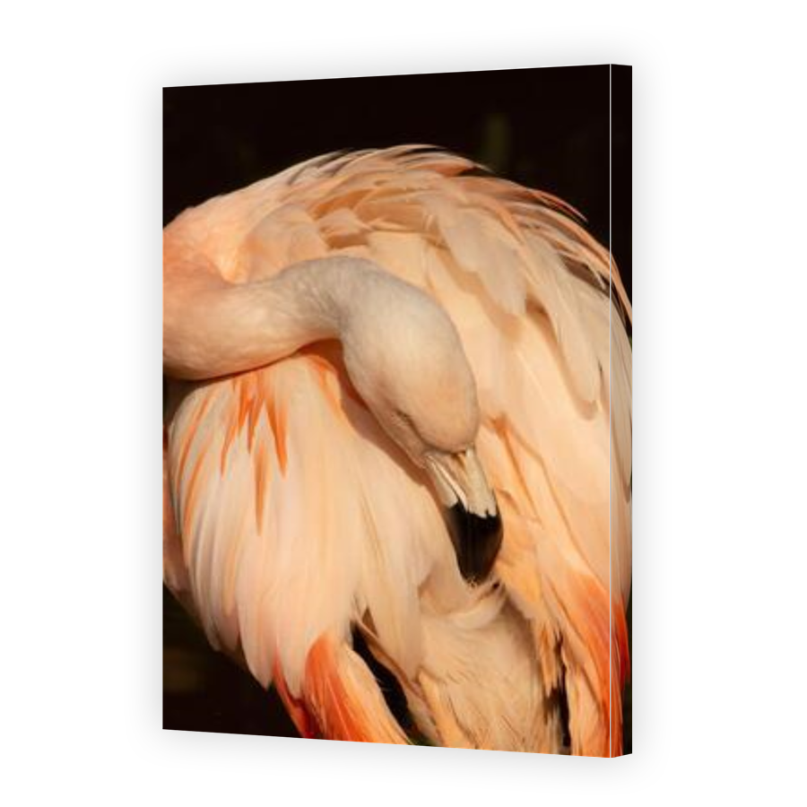 Thumbnail for Canvas - Gallery Canvas Wrap