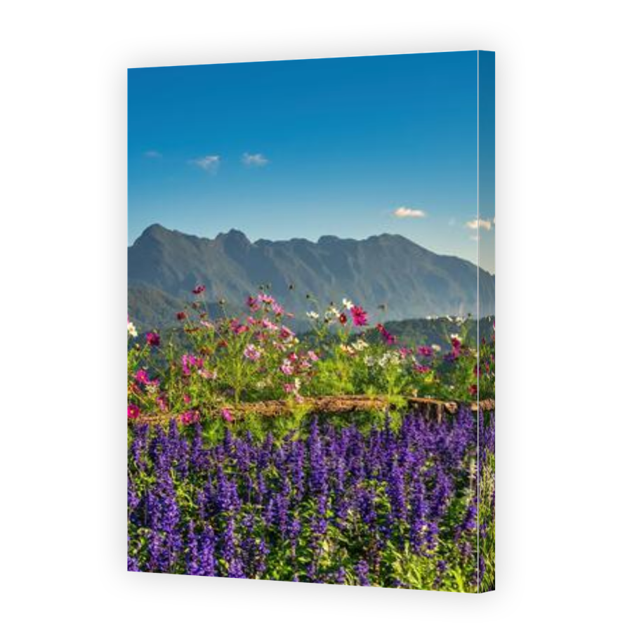 Thumbnail for Canvas - Gallery Canvas Wrap