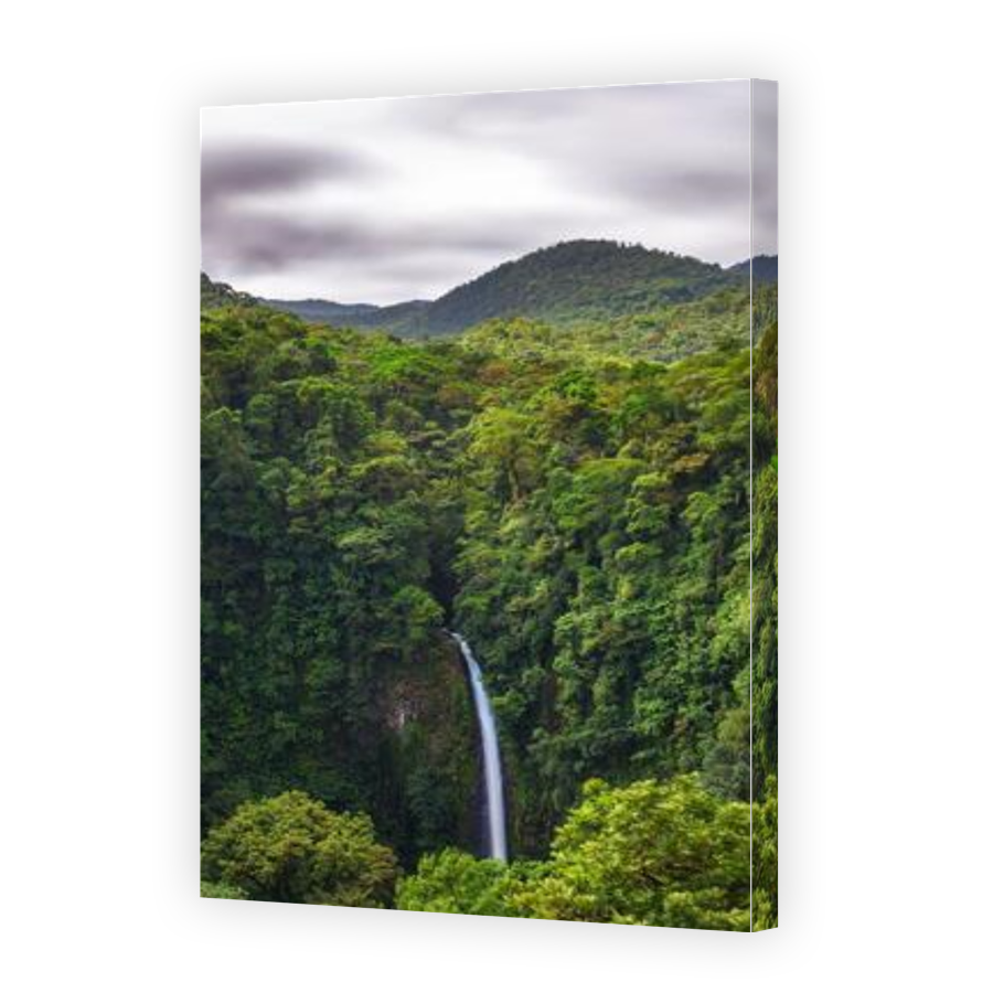 Thumbnail for Canvas - Gallery Canvas Wrap
