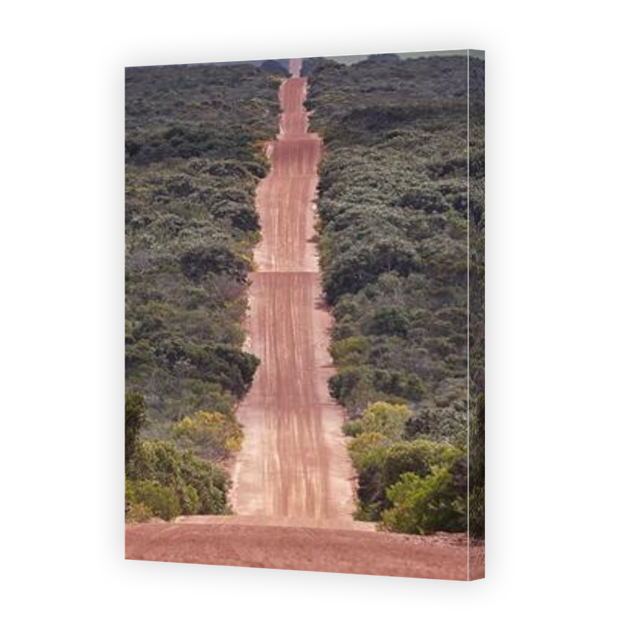 Thumbnail for Canvas - Gallery Canvas Wrap