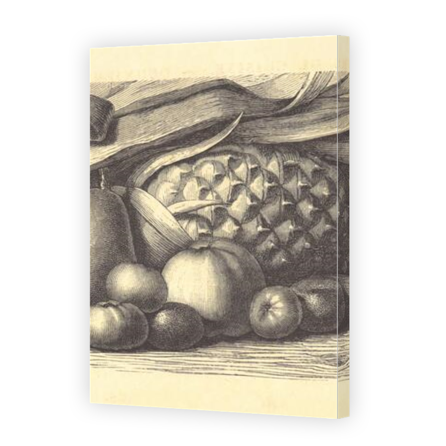 Thumbnail for Canvas - Gallery Canvas Wrap