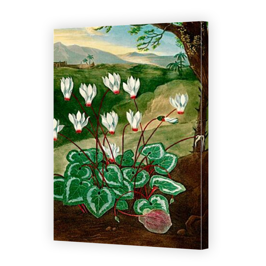 Thumbnail for Canvas - Gallery Canvas Wrap
