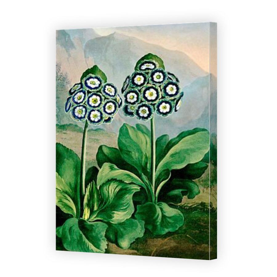 Thumbnail for Canvas - Gallery Canvas Wrap
