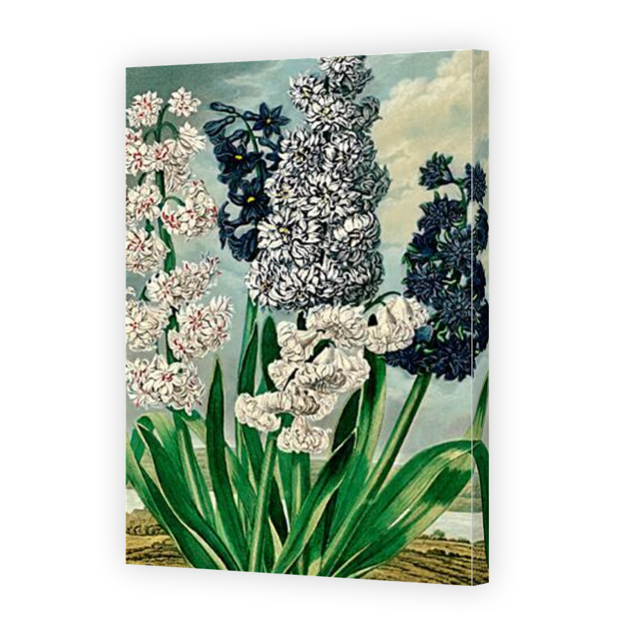 Thumbnail for Canvas - Gallery Canvas Wrap