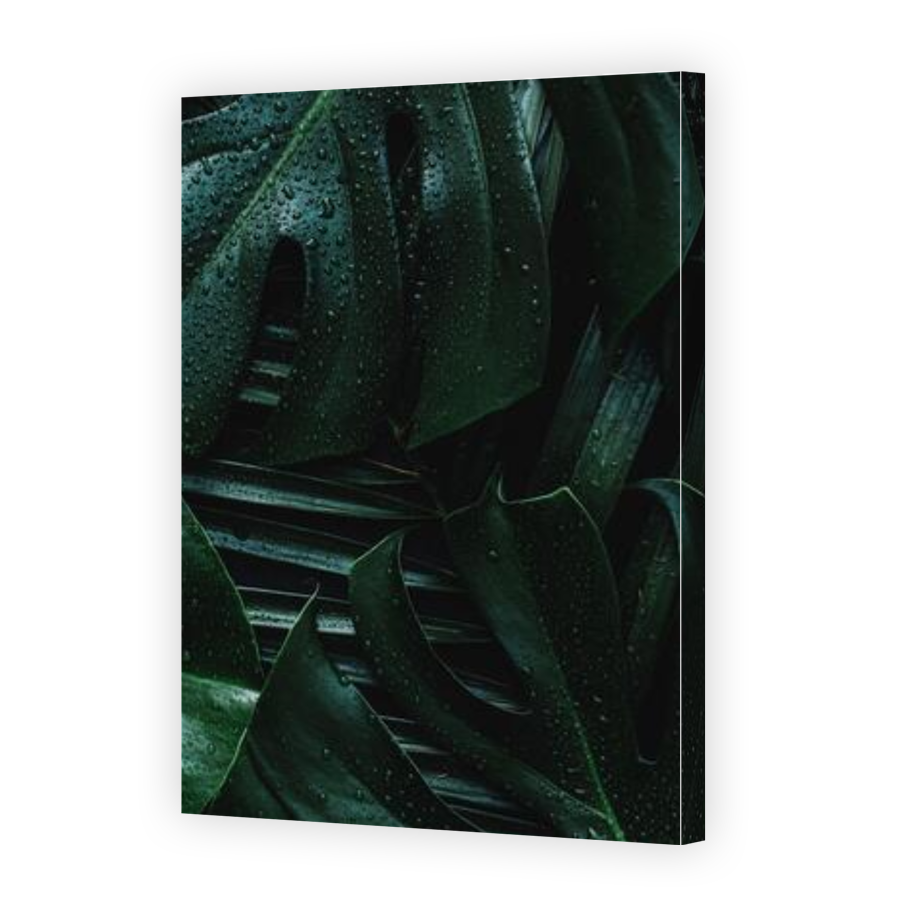Thumbnail for Canvas - Gallery Canvas Wrap
