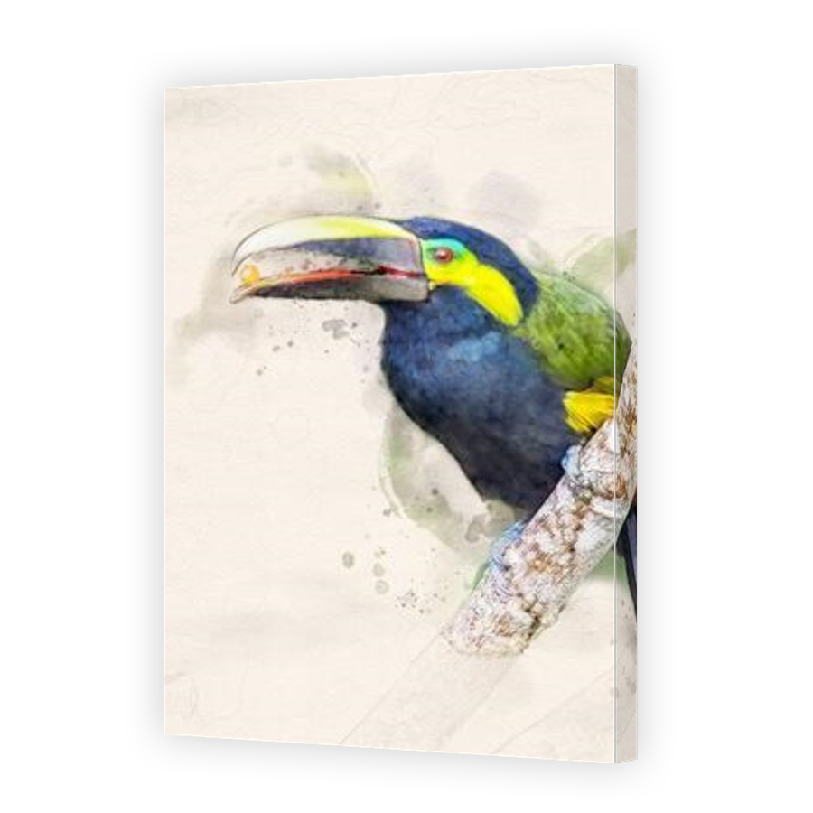 Thumbnail for Canvas - Gallery Canvas Wrap