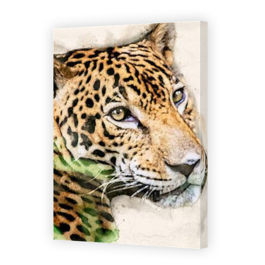 Thumbnail for Canvas - Gallery Canvas Wrap