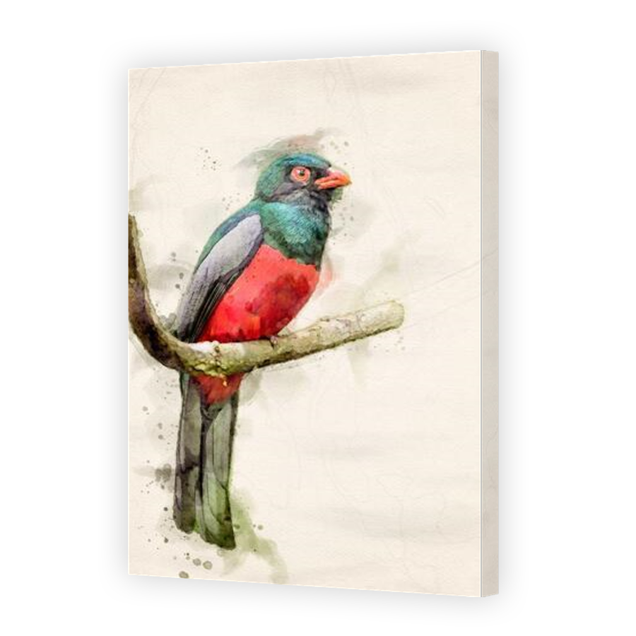 Thumbnail for Canvas - Gallery Canvas Wrap