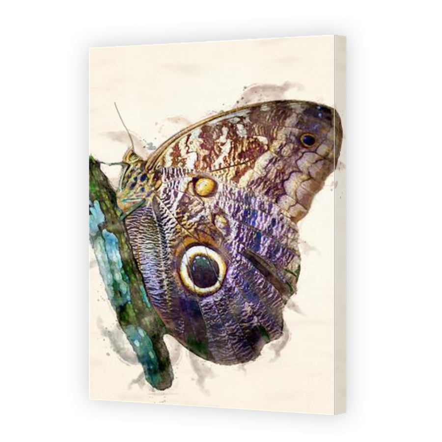 Thumbnail for Canvas - Gallery Canvas Wrap