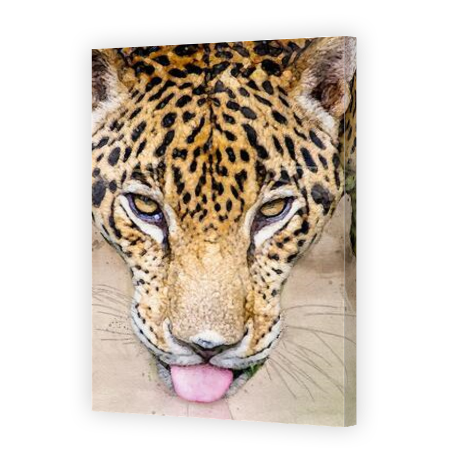 Thumbnail for Canvas - Gallery Canvas Wrap