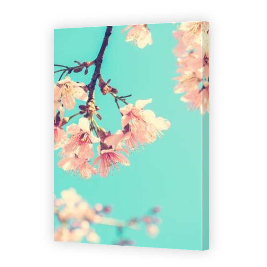 Thumbnail for Canvas - Gallery Canvas Wrap