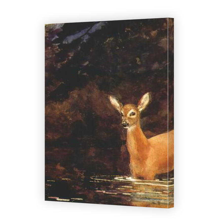 Thumbnail for Canvas - Gallery Canvas Wrap