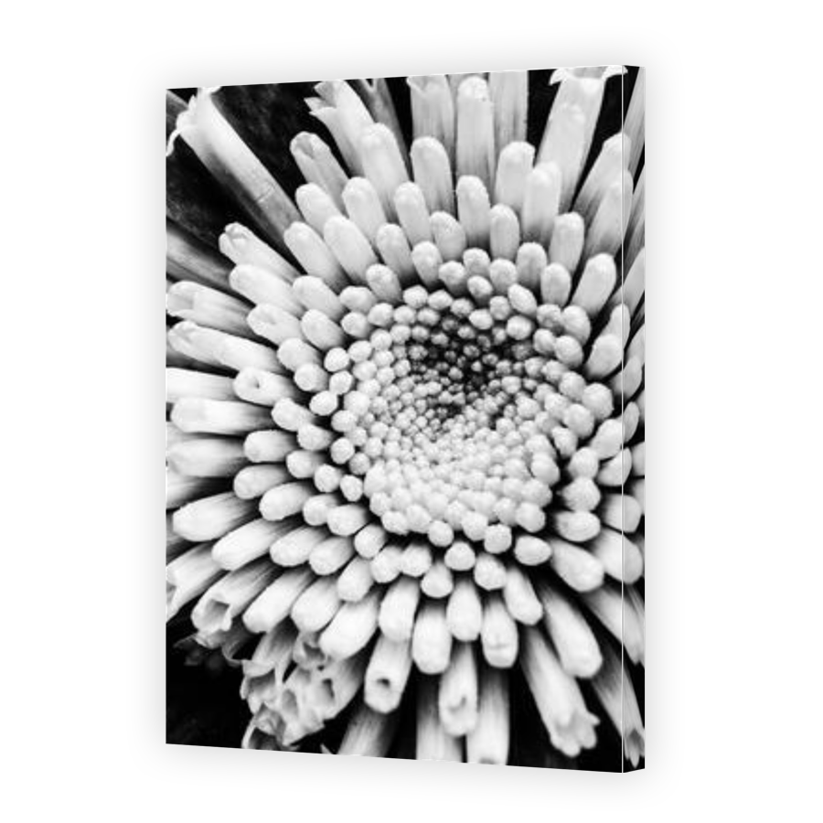 Thumbnail for Canvas - Gallery Canvas Wrap