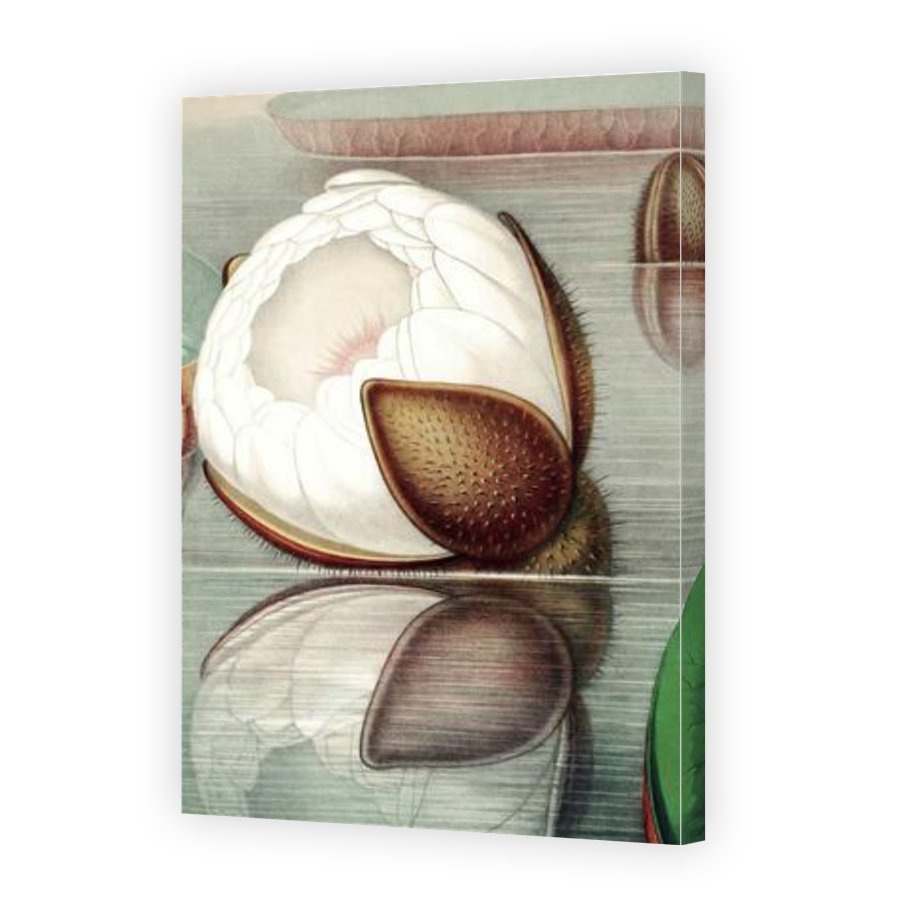 Thumbnail for Canvas - Gallery Canvas Wrap