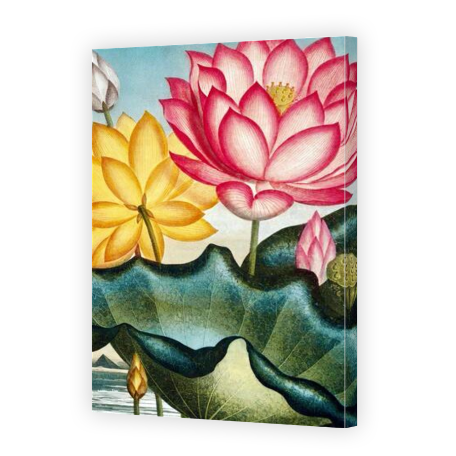 Thumbnail for Canvas - Gallery Canvas Wrap