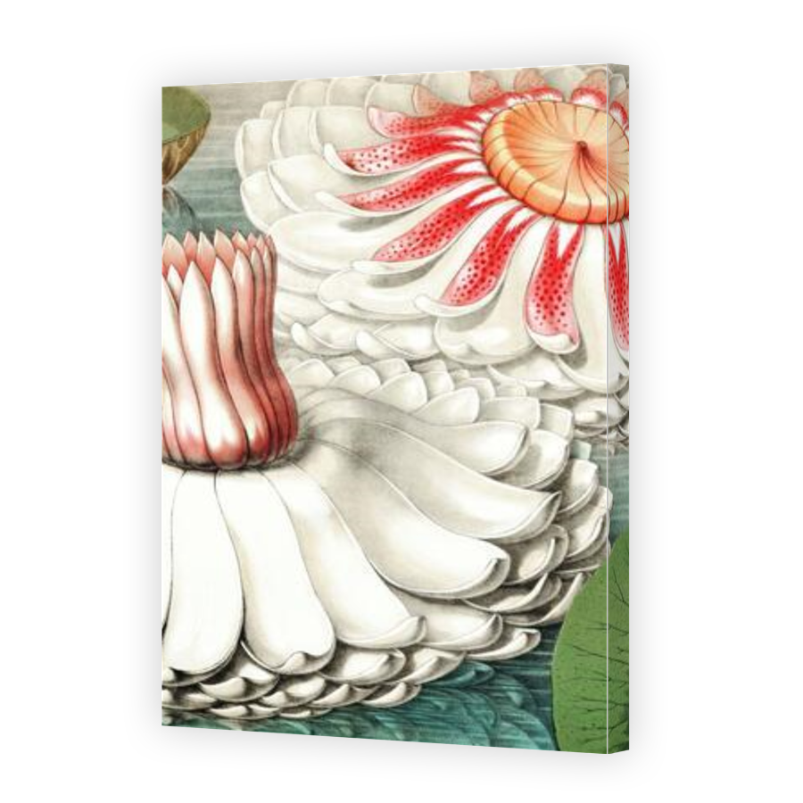 Thumbnail for Canvas - Gallery Canvas Wrap
