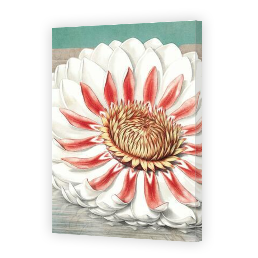 Thumbnail for Canvas - Gallery Canvas Wrap