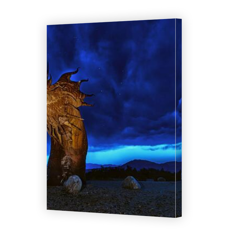 Thumbnail for Canvas - Gallery Canvas Wrap