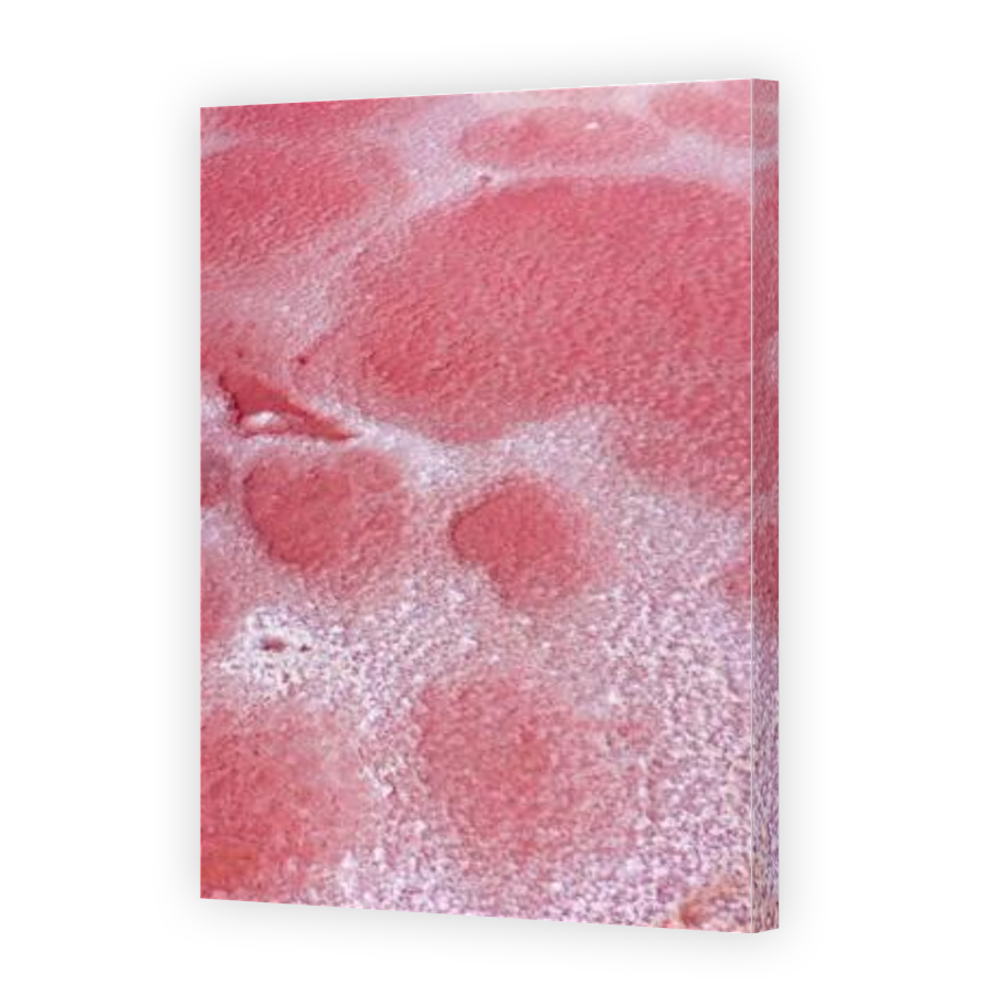 Thumbnail for Canvas - Gallery Canvas Wrap
