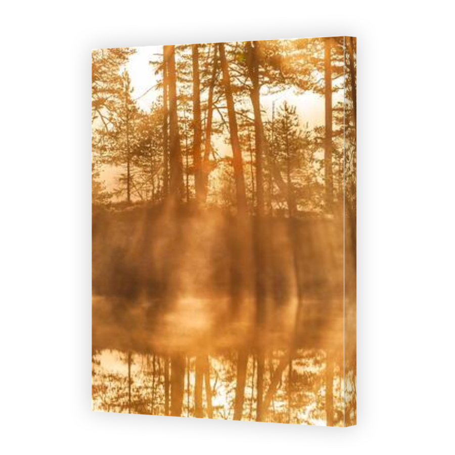 Thumbnail for Canvas - Gallery Canvas Wrap