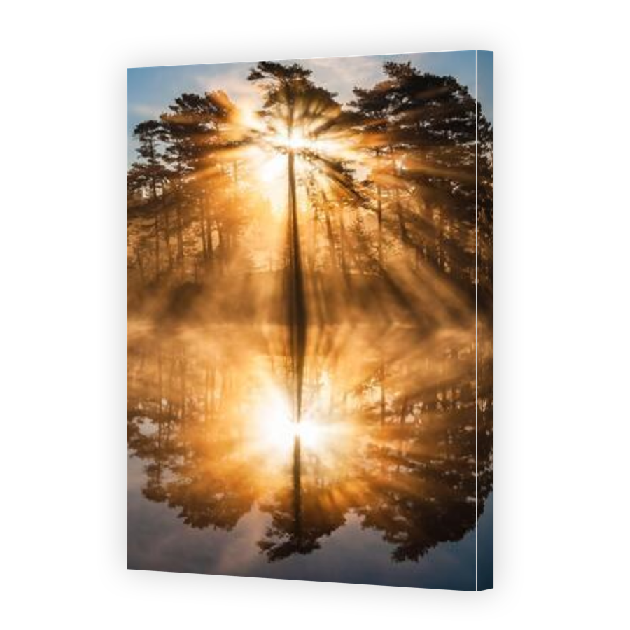 Thumbnail for Canvas - Gallery Canvas Wrap
