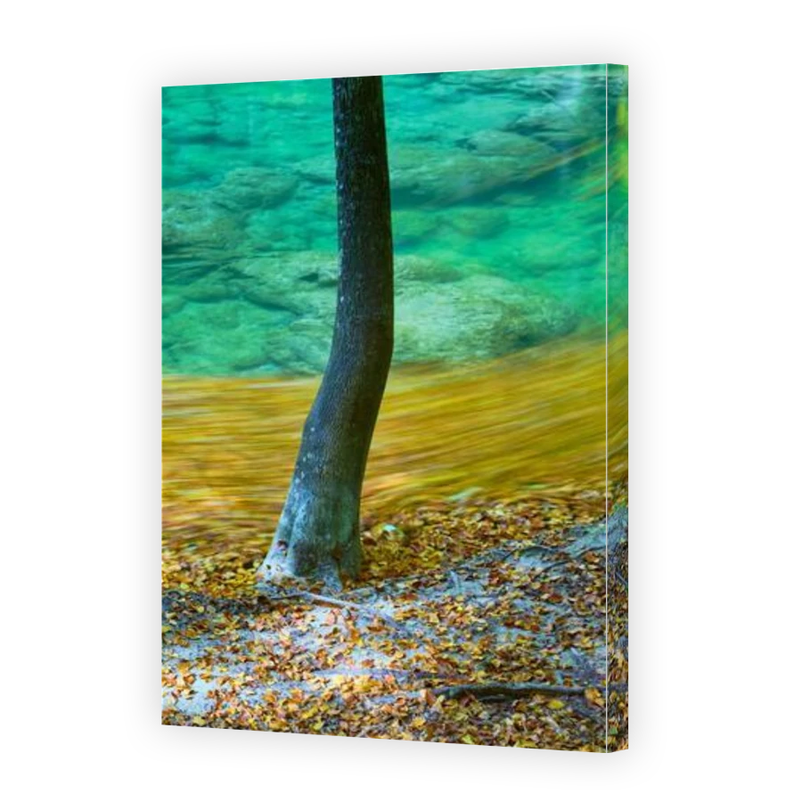 Thumbnail for Canvas - Gallery Canvas Wrap