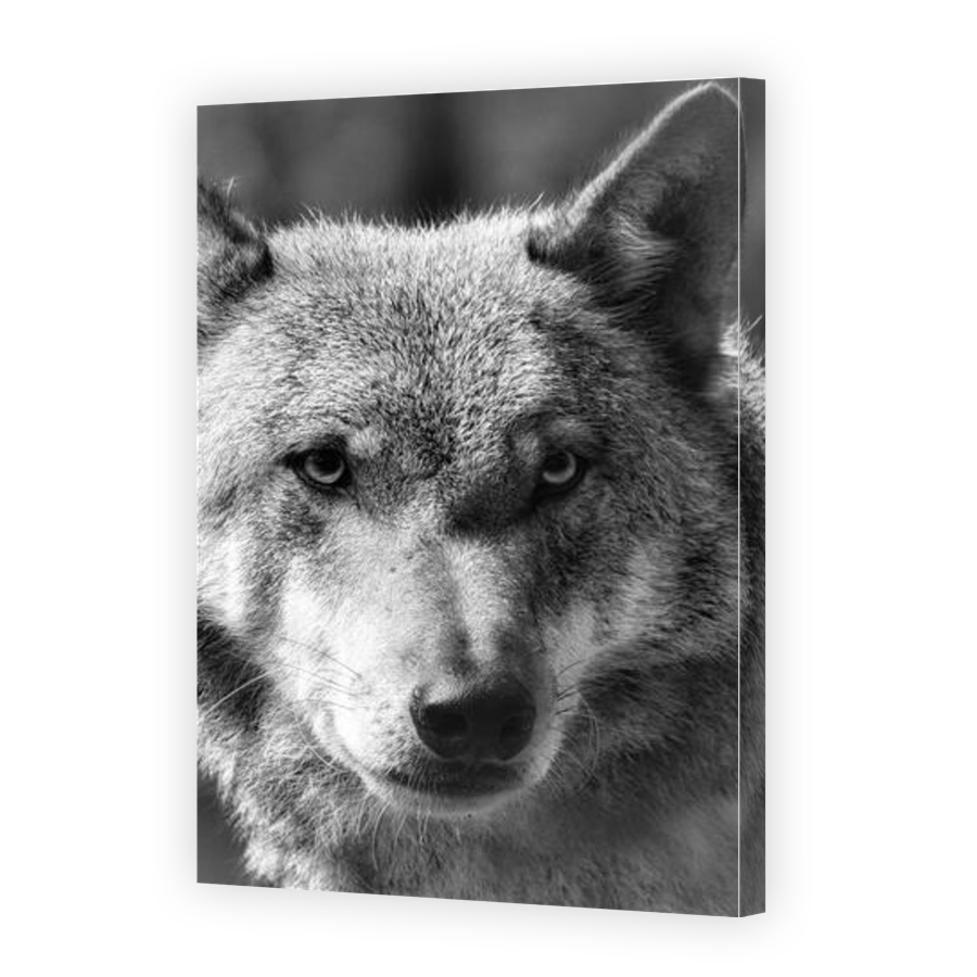 Thumbnail for Canvas - Gallery Canvas Wrap