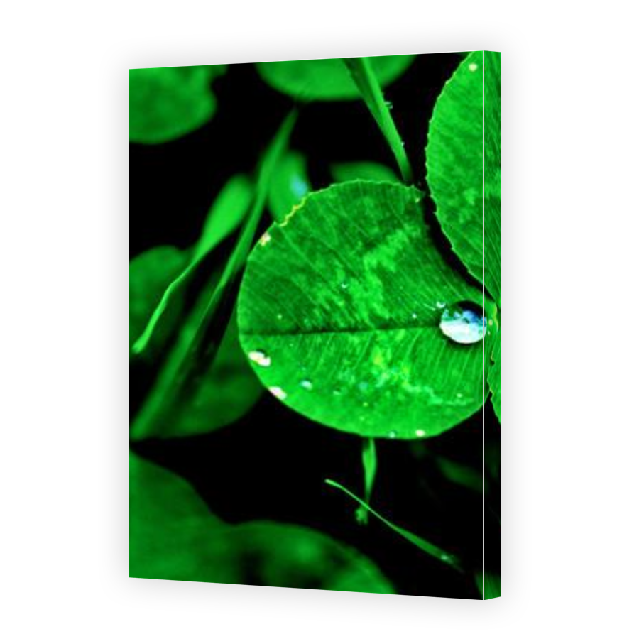 Thumbnail for Canvas - Gallery Canvas Wrap