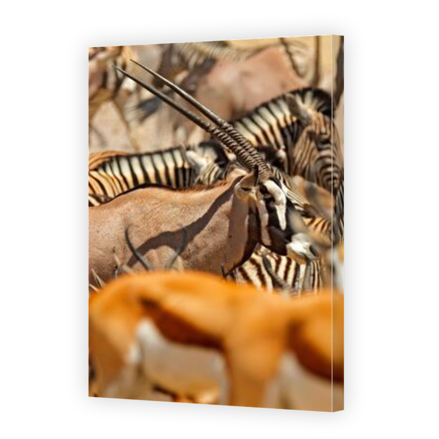 Thumbnail for Canvas - Gallery Canvas Wrap
