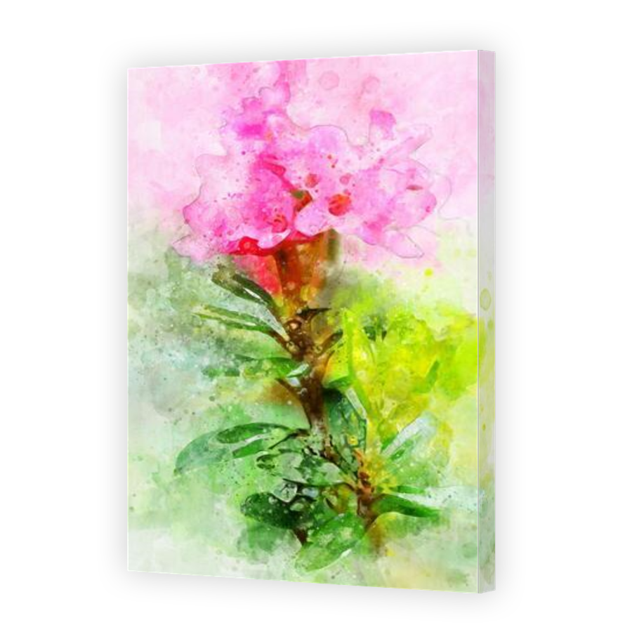 Thumbnail for Canvas - Gallery Canvas Wrap
