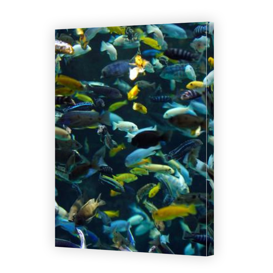 Thumbnail for Canvas - Gallery Canvas Wrap