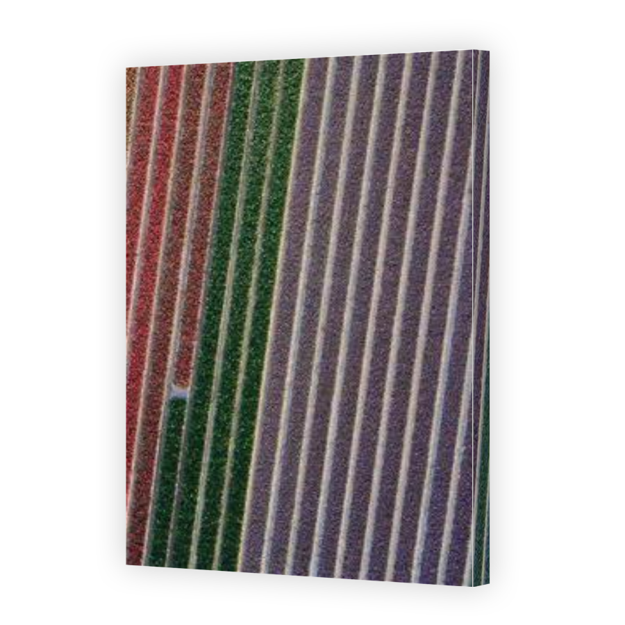 Thumbnail for Canvas - Gallery Canvas Wrap