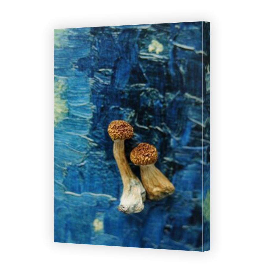 Thumbnail for Canvas - Gallery Canvas Wrap