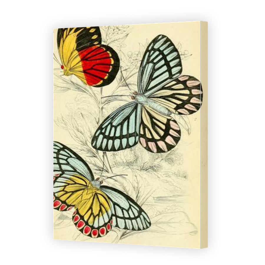 Thumbnail for Canvas - Gallery Canvas Wrap