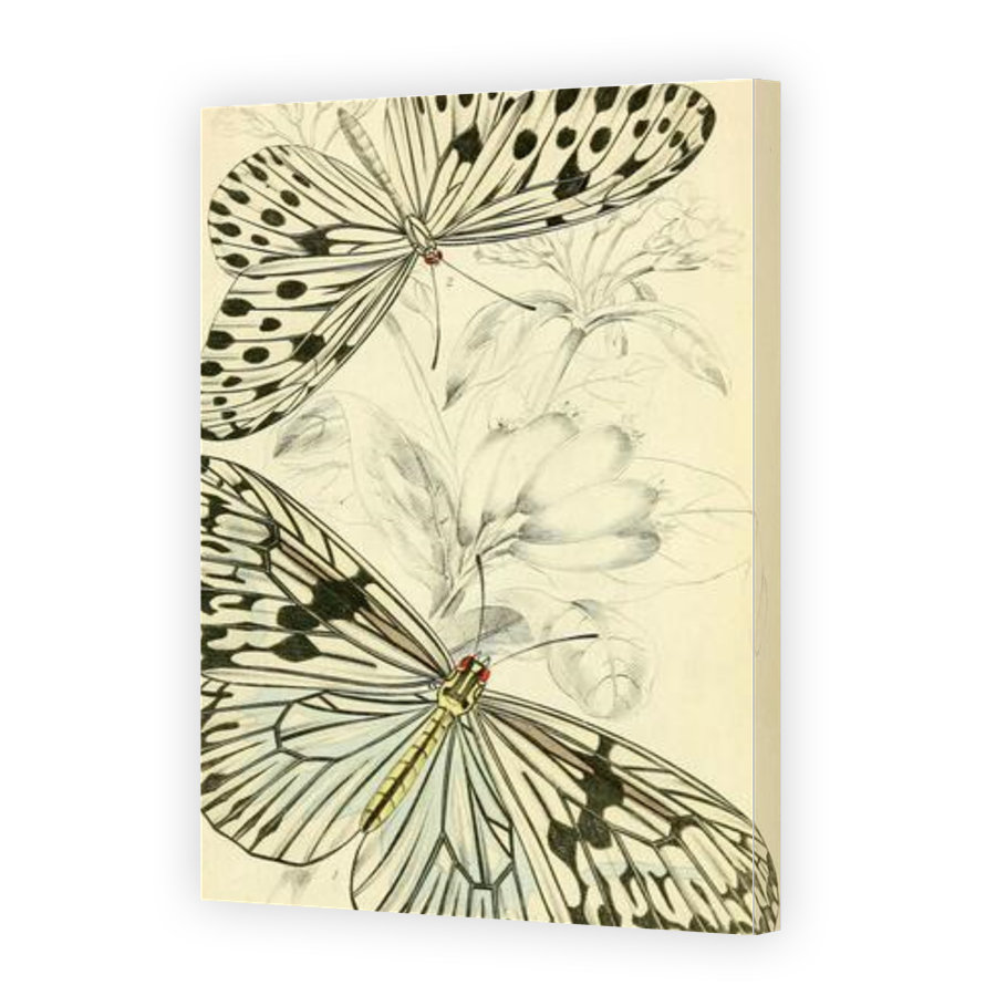 Thumbnail for Canvas - Gallery Canvas Wrap