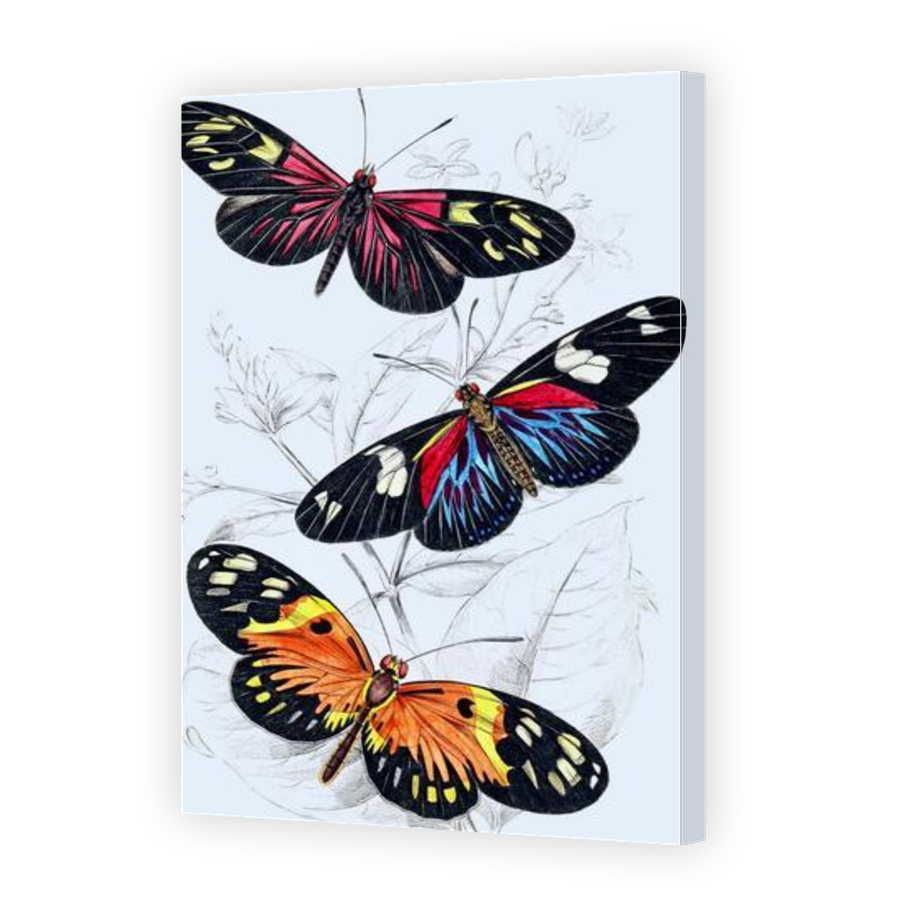 Thumbnail for Canvas - Gallery Canvas Wrap
