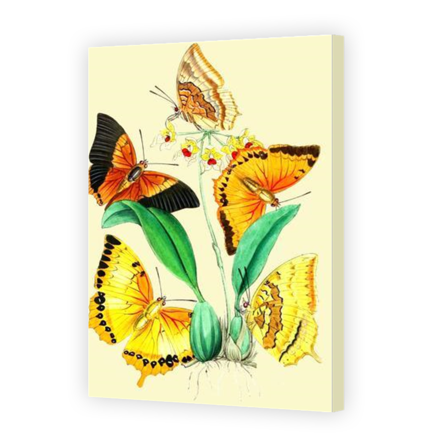 Thumbnail for Canvas - Gallery Canvas Wrap