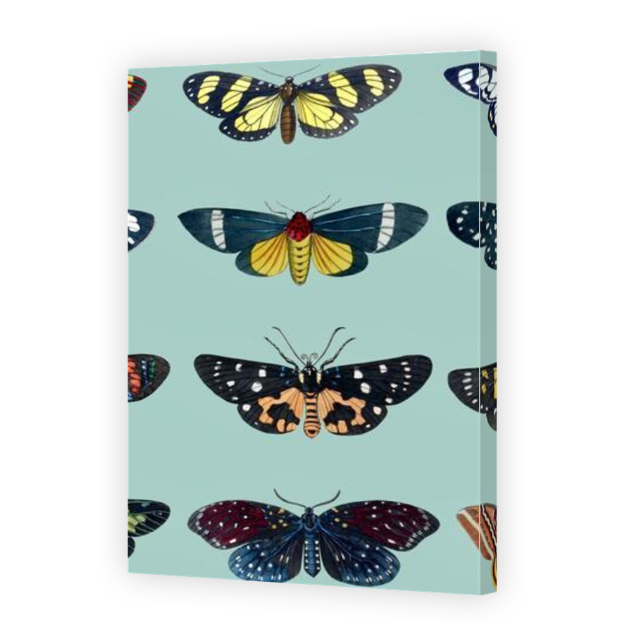 Thumbnail for Canvas - Gallery Canvas Wrap