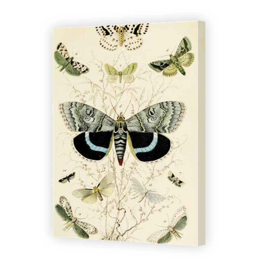 Thumbnail for Canvas - Gallery Canvas Wrap