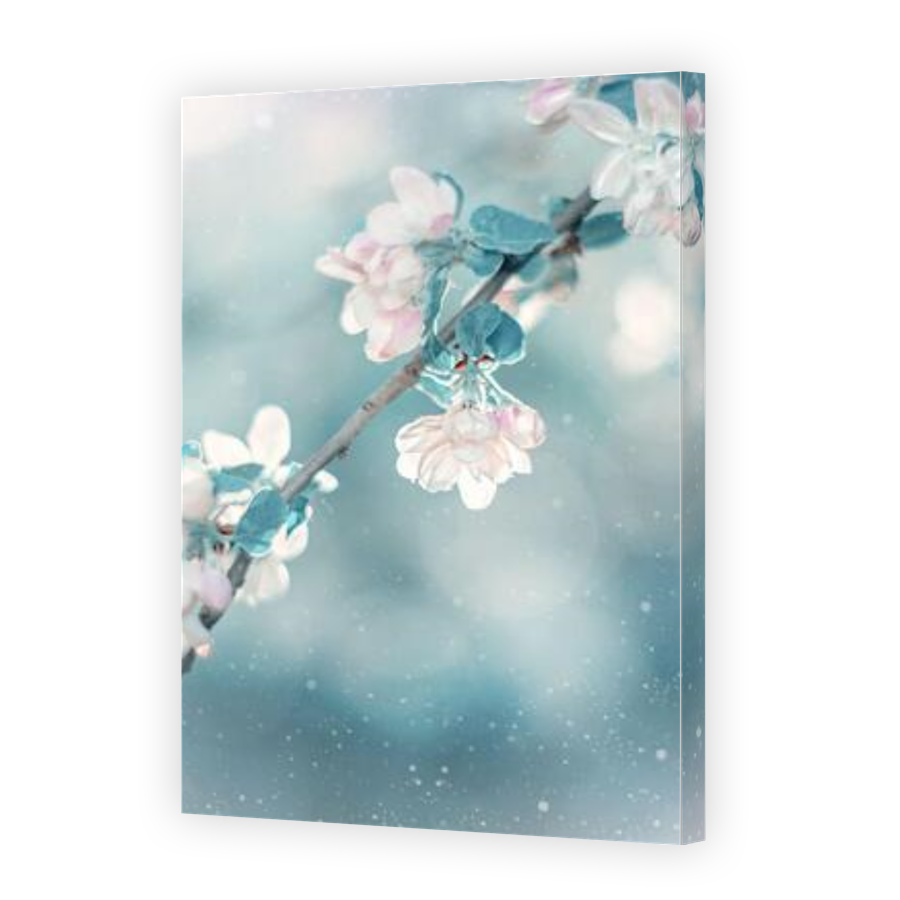 Thumbnail for Canvas - Gallery Canvas Wrap