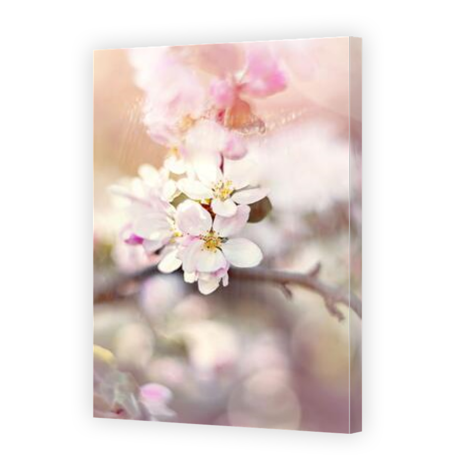Thumbnail for Canvas - Gallery Canvas Wrap