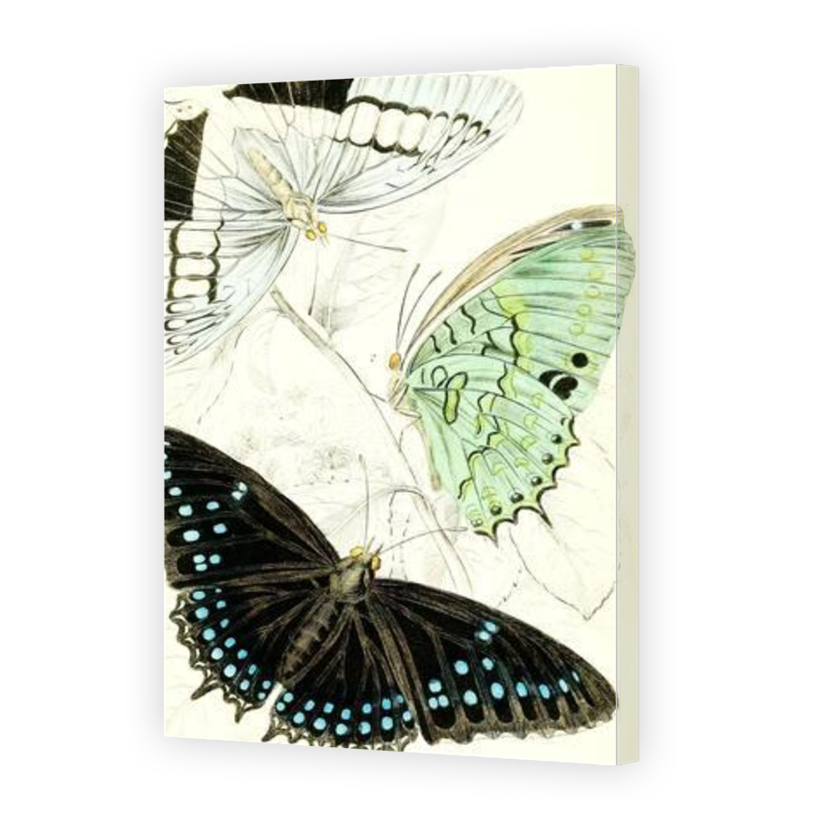 Thumbnail for Canvas - Gallery Canvas Wrap