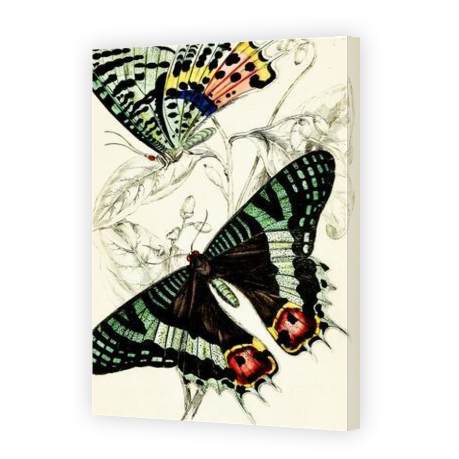 Thumbnail for Canvas - Gallery Canvas Wrap