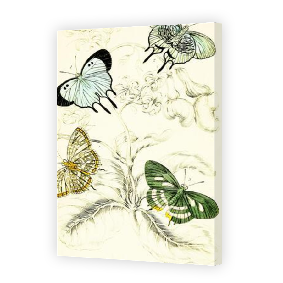 Thumbnail for Canvas - Gallery Canvas Wrap