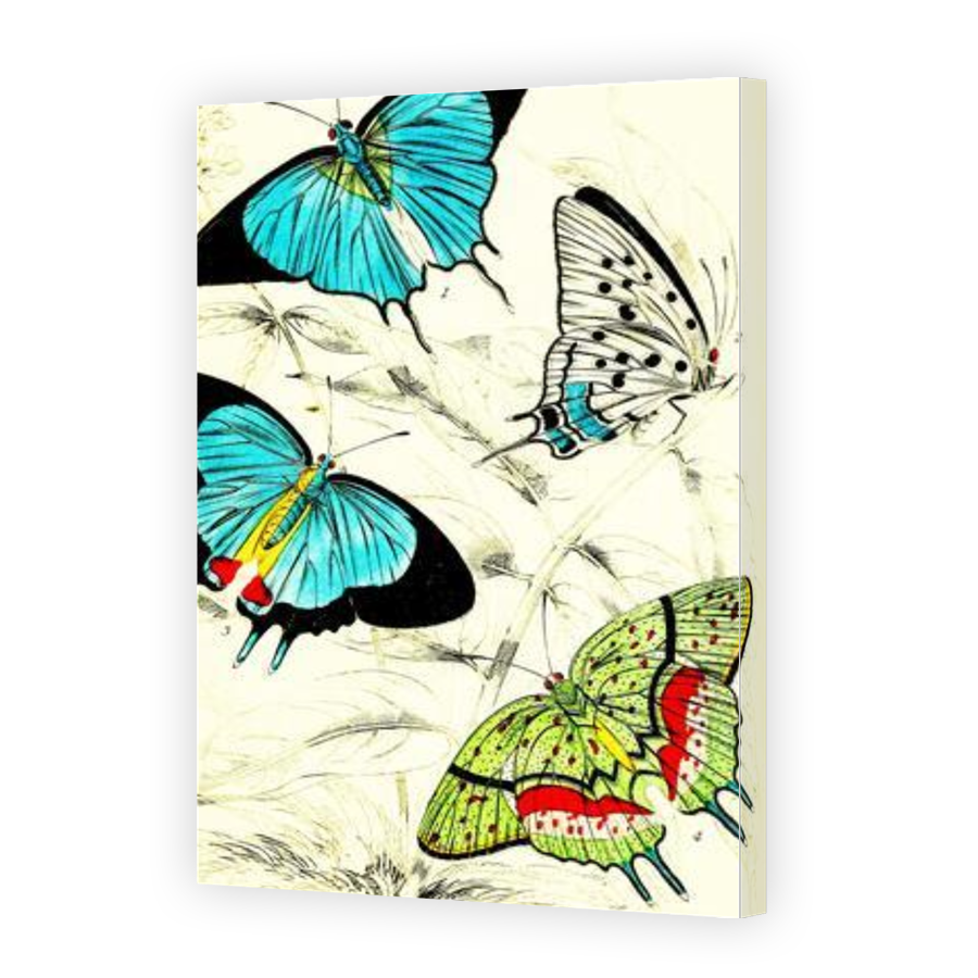Thumbnail for Canvas - Gallery Canvas Wrap