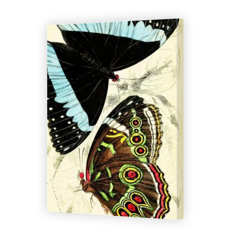 Thumbnail for Canvas - Gallery Canvas Wrap